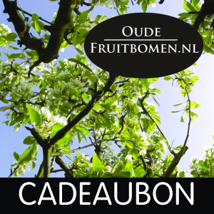 cadeaubon_oudefruitbomen